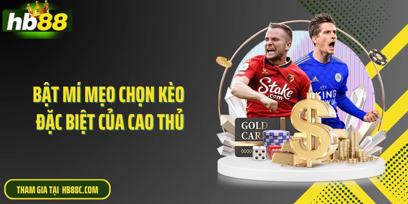 Bật mí mẹo chọn kèo đặc biệt của cao thủ